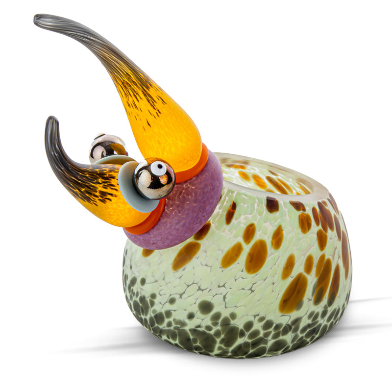 HERKULES BOWL - Bowl