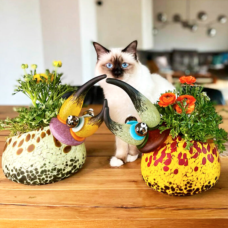 HERKULES BOWL - Bowl