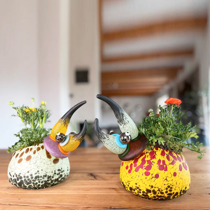 HERKULES BOWL - Bowl