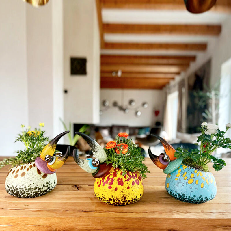 HERKULES BOWL - Bowl